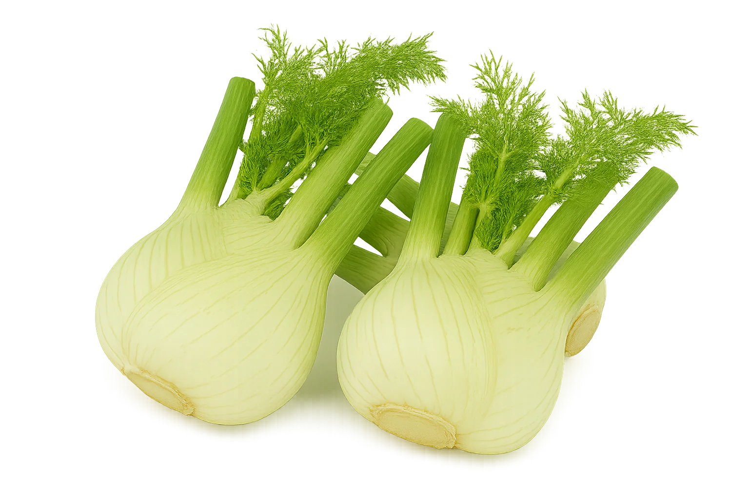 Herb Bundle - Image 4