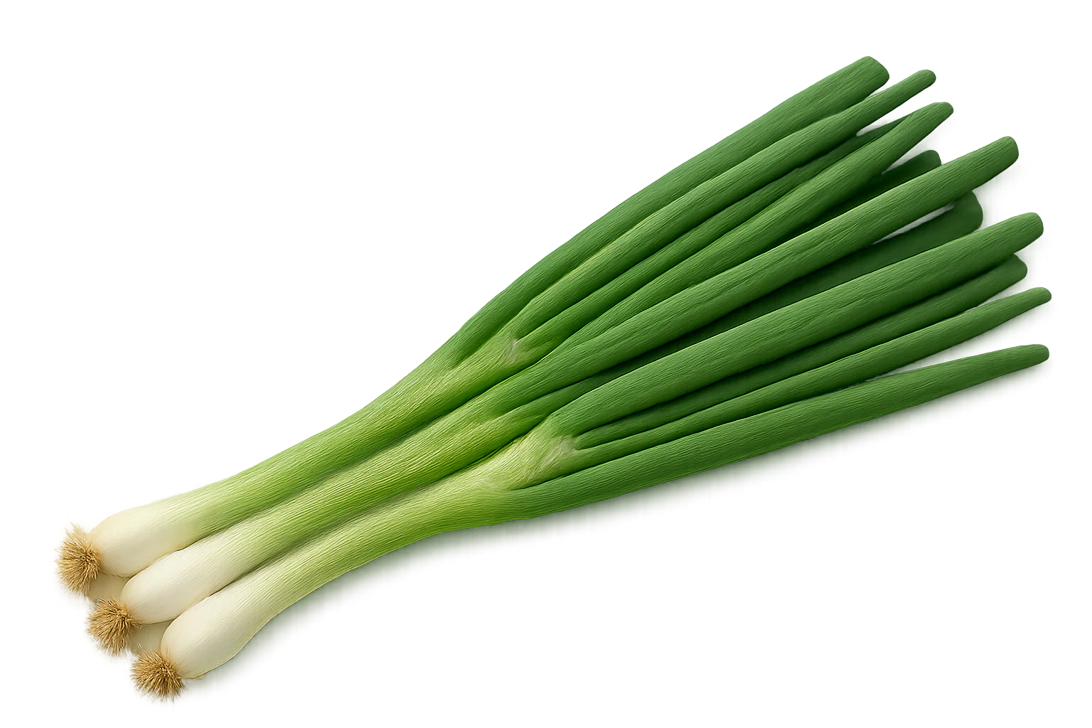 Herb Bundle - Image 5