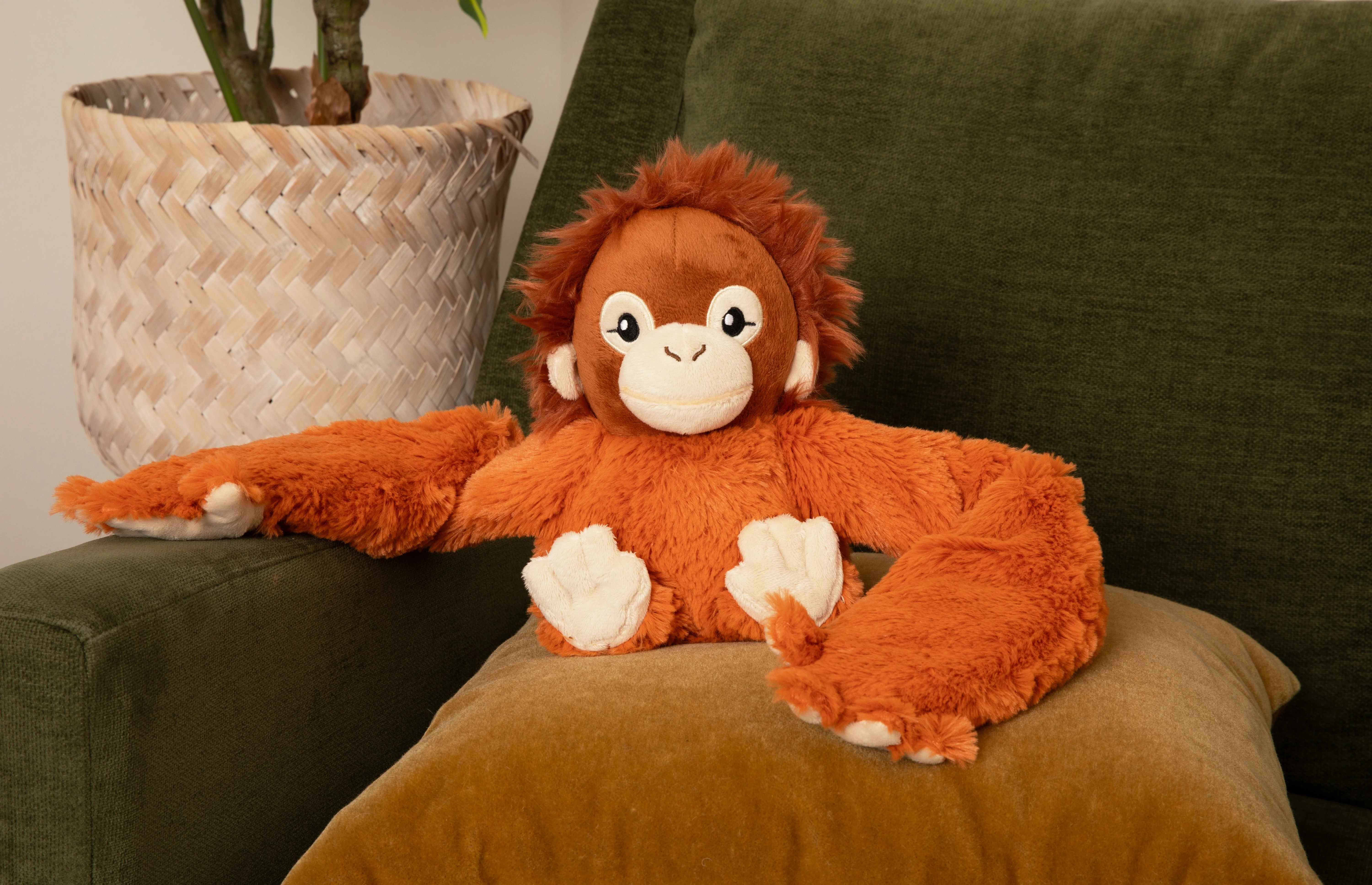 Ollie the Orangutan - Image 6
