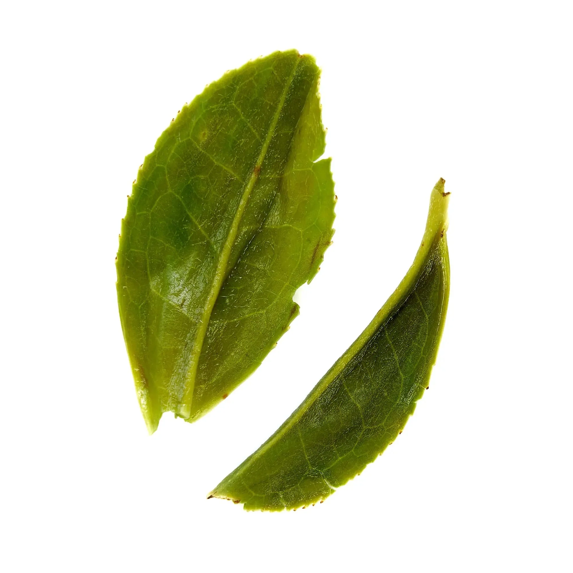 Rare Leaves Emerald - Single Estate Pi Lo Chun Green Tea - Image 9