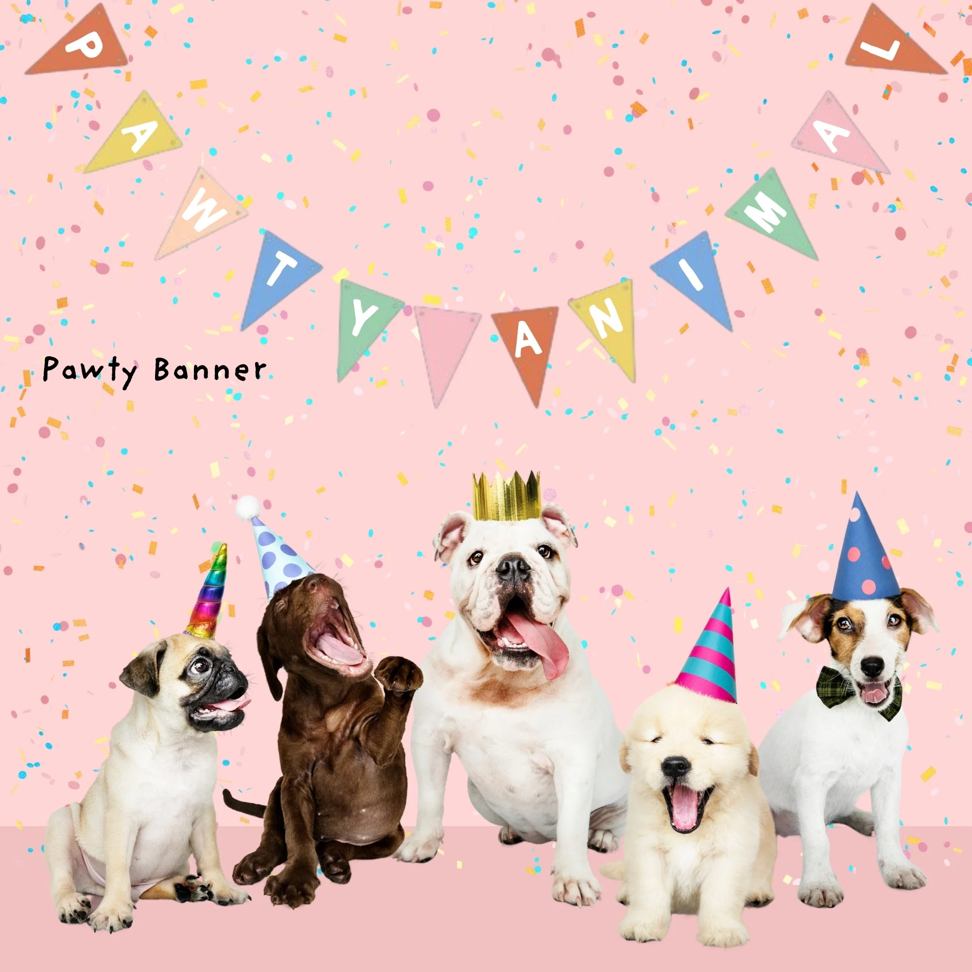 Sweet Paws x Five Dot Post "Pawty Animal" DOG Pawty Pack 18 pc set - Image 6