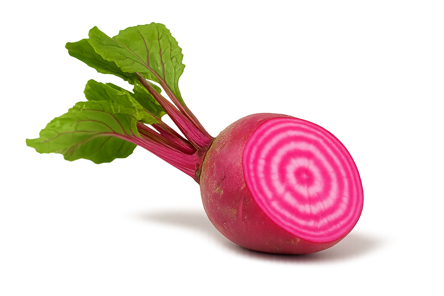 Veggie Bundle - Image 4